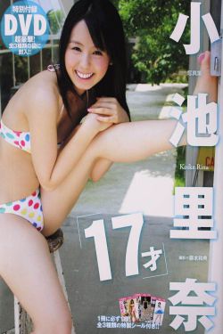 四大名捕大结局